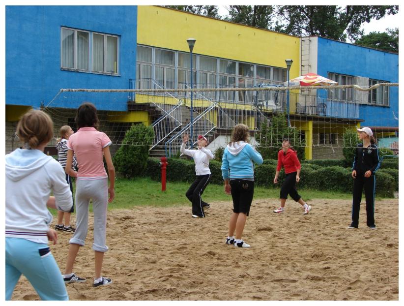 Obz jzykowo - sportowy