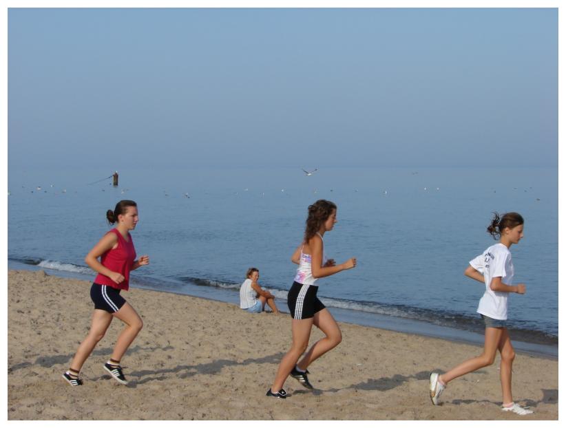 Obz jzykowo - sportowy