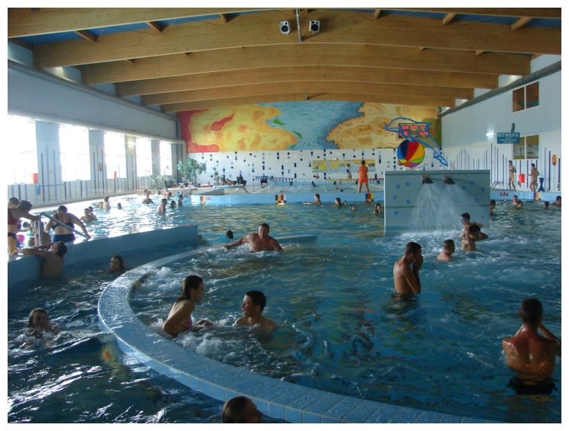 Obz jzykowo - sportowy