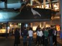 (73/103): Warszawa - zwiedzanie Sejmu oraz muzeum powstania warszawskiego
