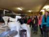 dscn6730_small.jpg