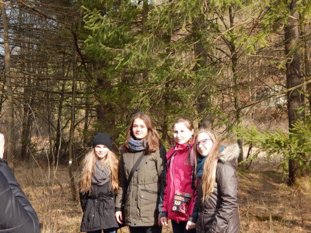 dscn6633.jpg