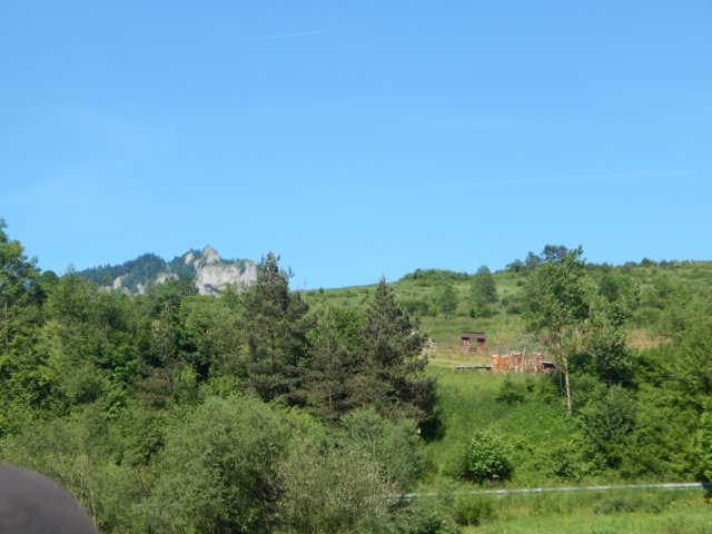 dscn7110.jpg