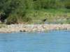 dscn7112_small.jpg
