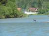 dscn7126_small.jpg