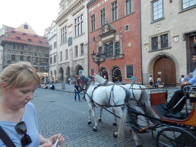 dscn7424.jpg