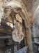 dscn7474_small.jpg