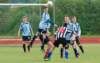 dsc_0102_small.jpg